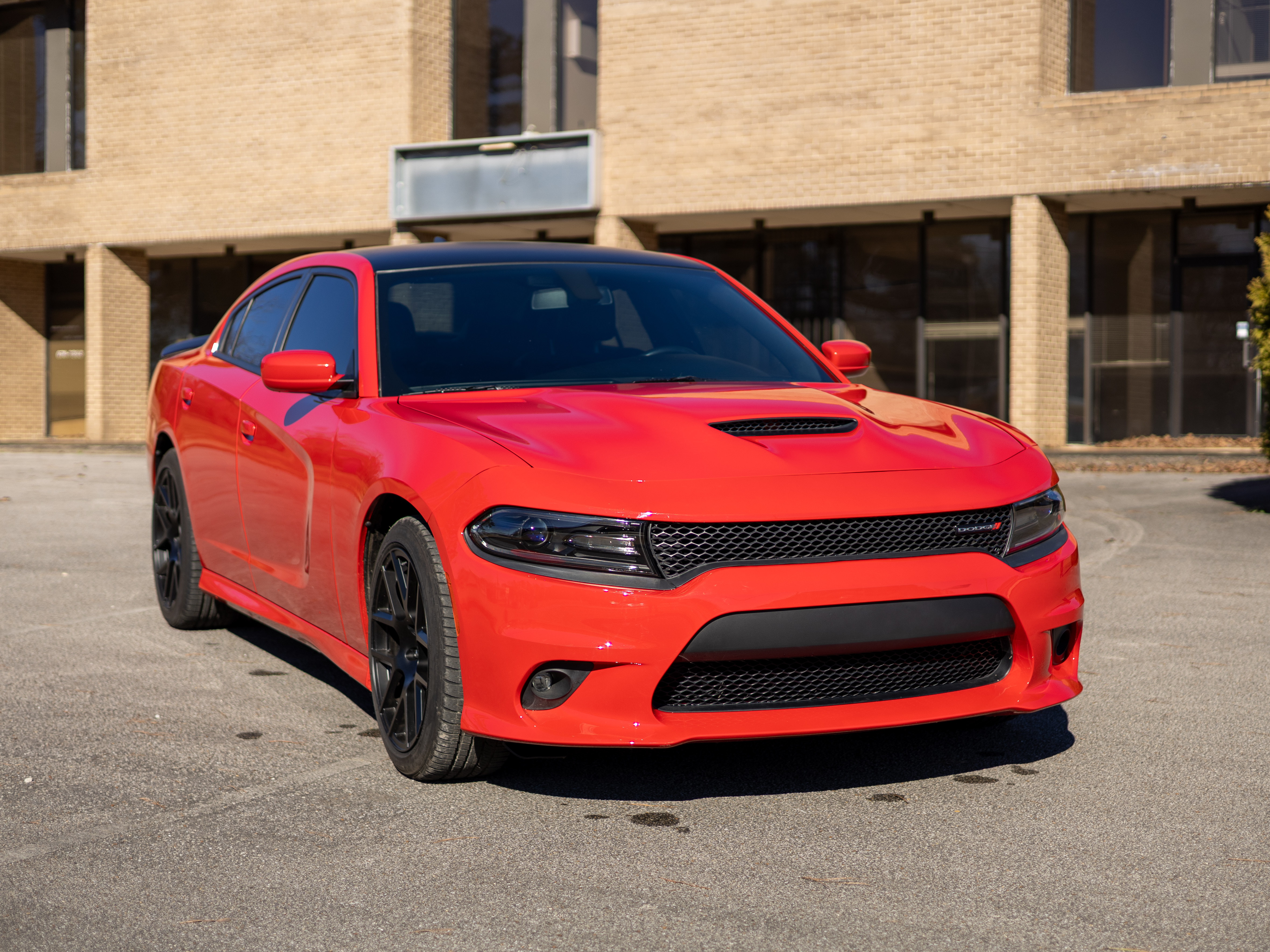 Dodge